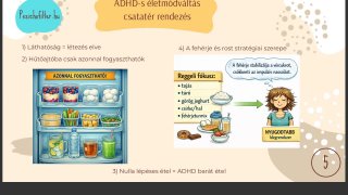 3.5 Hűtő és spejz rendezés